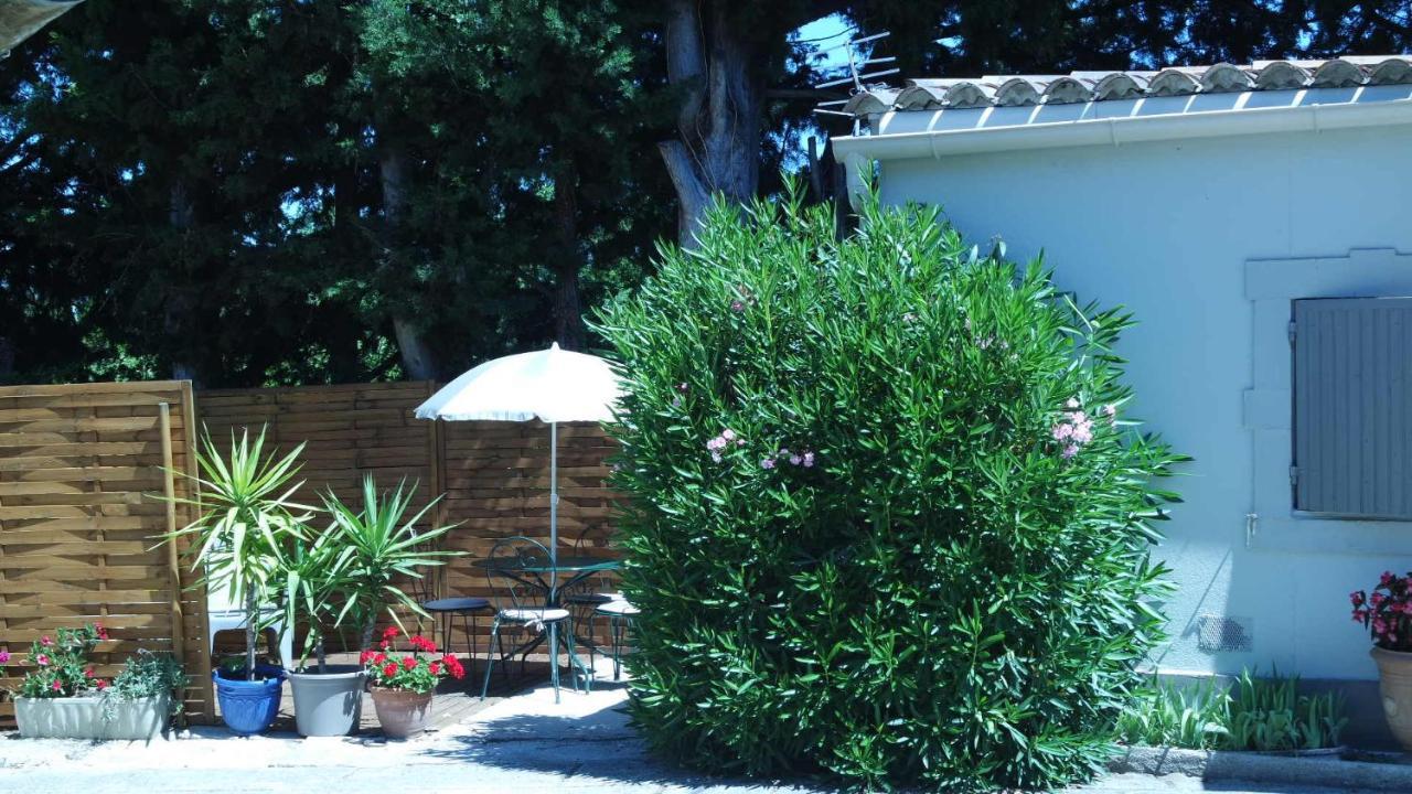 Mas Grimaud - Gite- Studio Et Chambres D'Hotes Familiales Eygalières Eksteriør billede