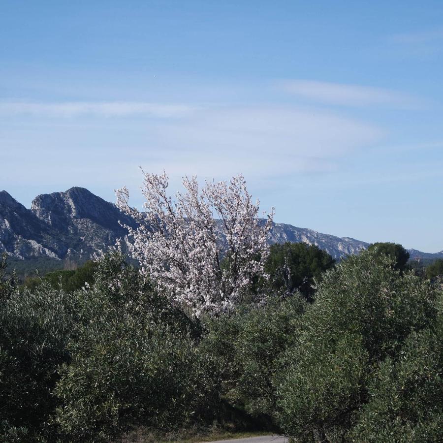 Mas Grimaud - Gite- Studio Et Chambres D'Hotes Familiales Eygalières Eksteriør billede